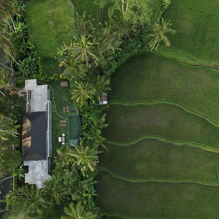 Hatiku Di Bali - Ubud Tegallalang  Kültér fotó