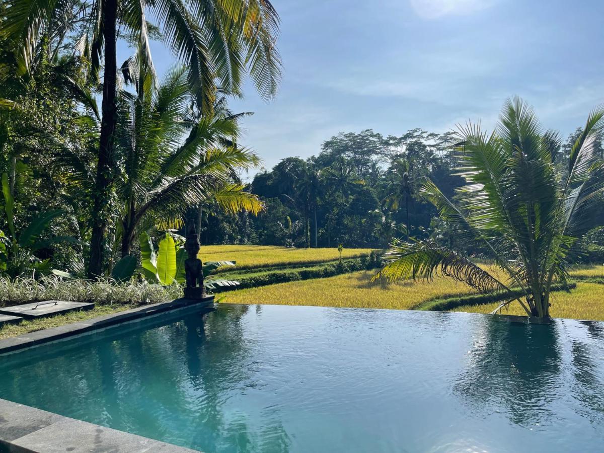 Hatiku Di Bali - Ubud Tegallalang  Kültér fotó
