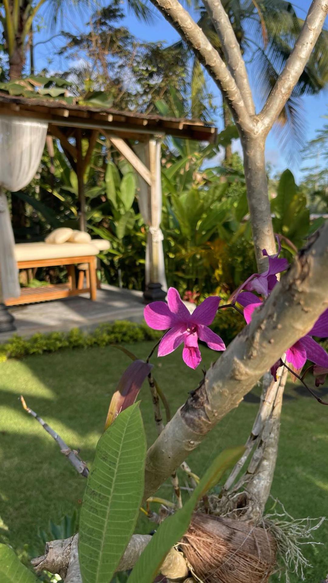 Hatiku Di Bali - Ubud Tegallalang  Kültér fotó