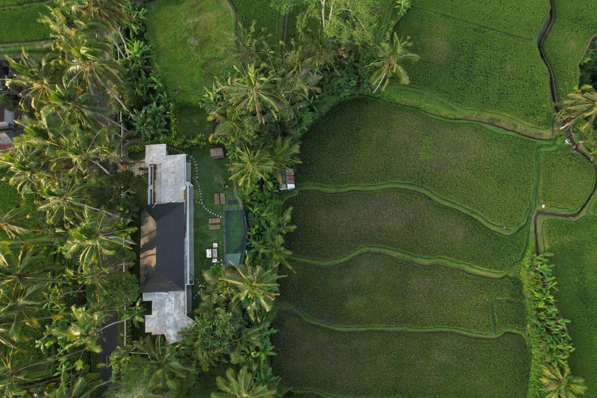 Hatiku Di Bali - Ubud Tegallalang  Kültér fotó